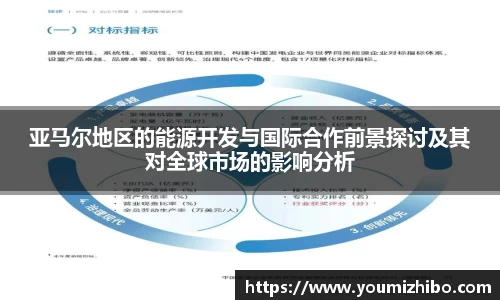 亚马尔地区的能源开发与国际合作前景探讨及其对全球市场的影响分析