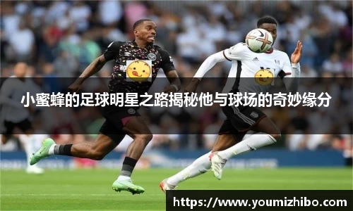 小蜜蜂的足球明星之路揭秘他与球场的奇妙缘分